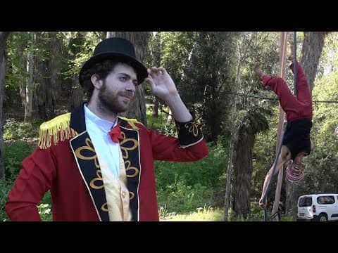 Forest circus